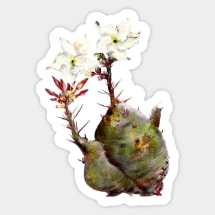 Baby Bottle Tree Sticker